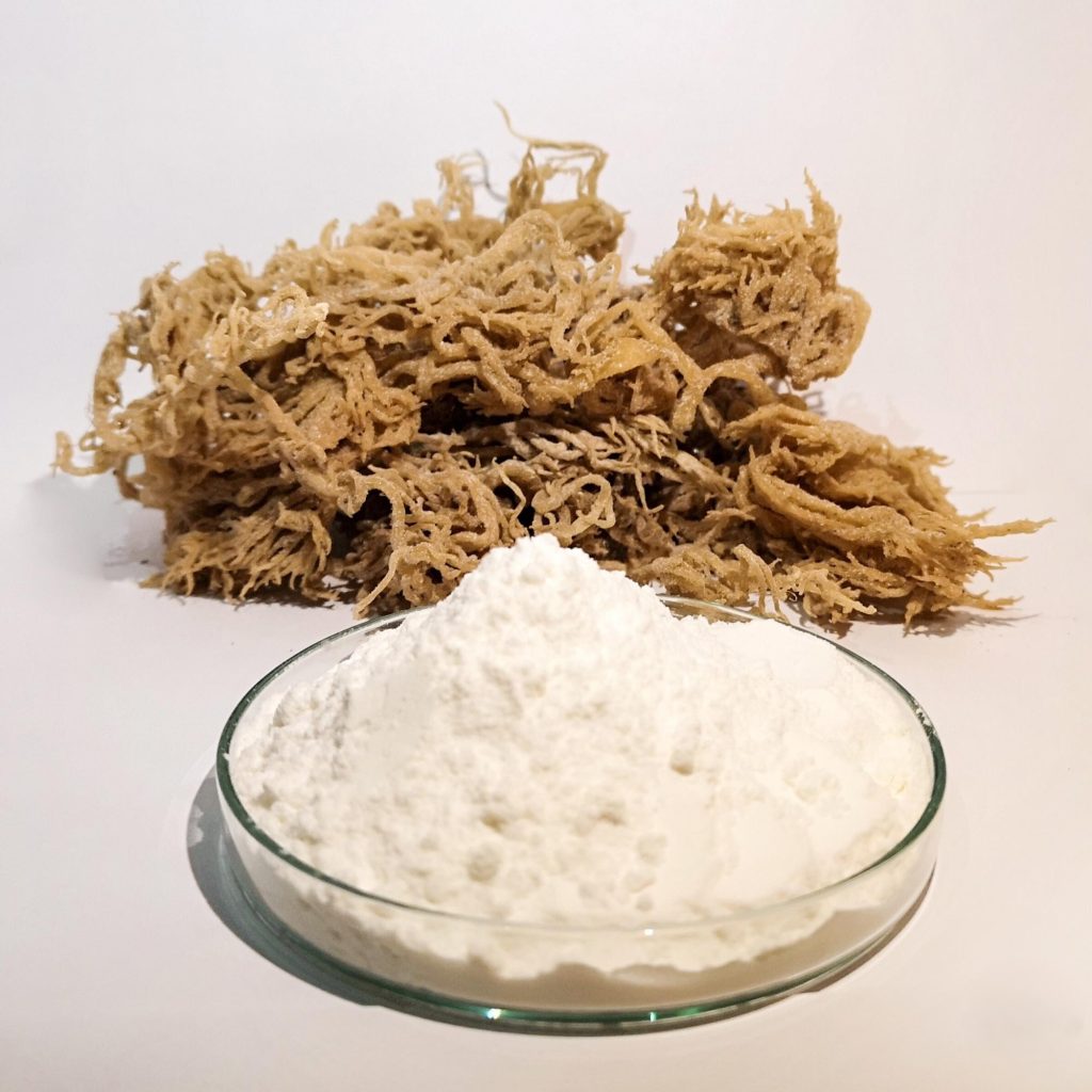 Carrageen en zeewier.