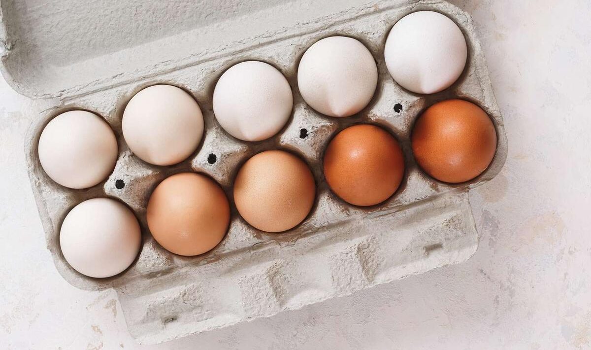 Witte eieren versus bruine eieren: wat iedereen zich afvraagt.